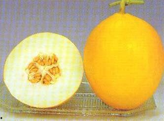 流产可以吃瓜花,流产后的心灵疗愈之旅 第3张 流产可以吃瓜花,流产后的心灵疗愈之旅 第3张