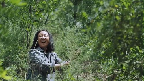 娱乐吃瓜笙,揭秘娱乐圈背后的那些事儿  第3张